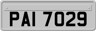 PAI7029