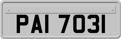 PAI7031