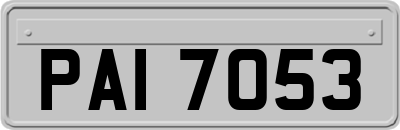 PAI7053