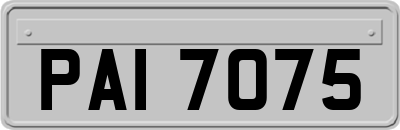 PAI7075