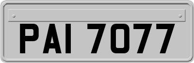 PAI7077