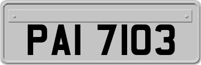 PAI7103