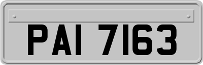 PAI7163