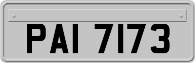 PAI7173