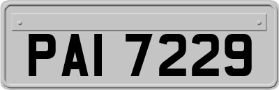 PAI7229