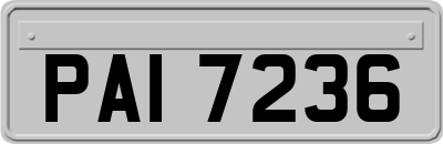 PAI7236