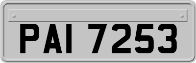 PAI7253