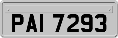PAI7293