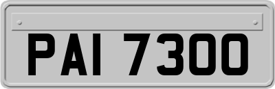 PAI7300
