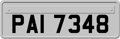 PAI7348