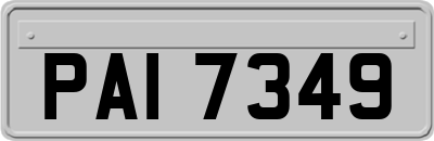 PAI7349
