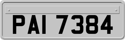 PAI7384