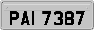 PAI7387