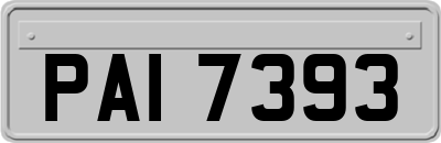 PAI7393