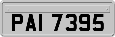 PAI7395