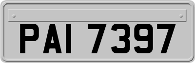 PAI7397