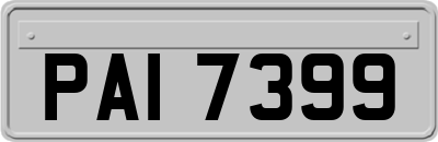 PAI7399