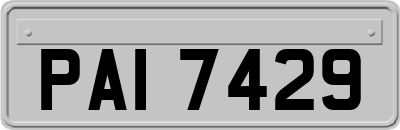 PAI7429
