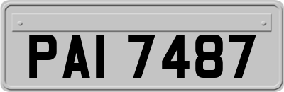 PAI7487