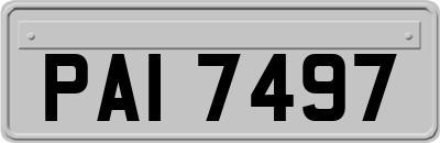 PAI7497