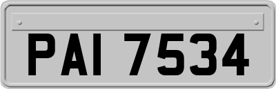 PAI7534