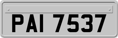 PAI7537