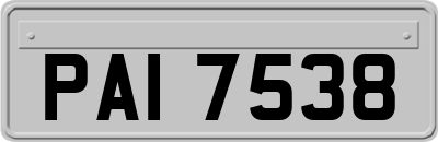 PAI7538