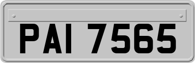 PAI7565