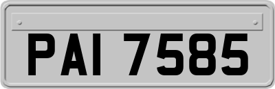 PAI7585