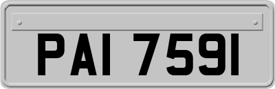 PAI7591