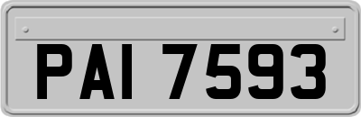 PAI7593