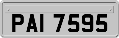 PAI7595