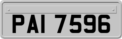 PAI7596