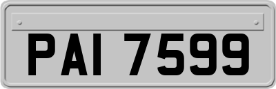 PAI7599
