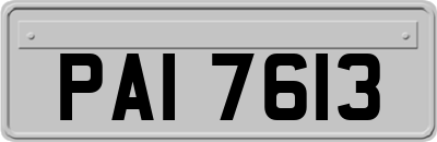 PAI7613