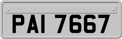 PAI7667