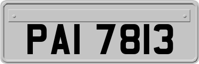 PAI7813