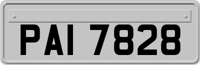 PAI7828