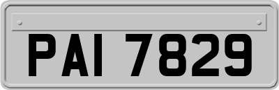 PAI7829