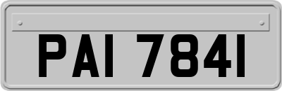 PAI7841