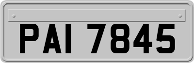 PAI7845