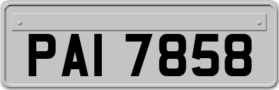 PAI7858