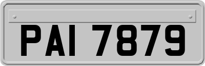 PAI7879