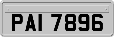 PAI7896