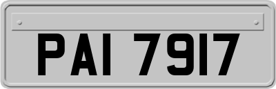 PAI7917