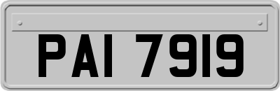 PAI7919