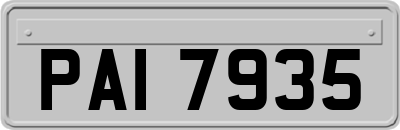 PAI7935