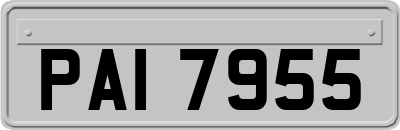 PAI7955