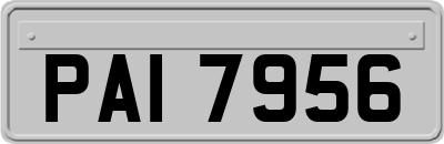 PAI7956