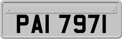 PAI7971
